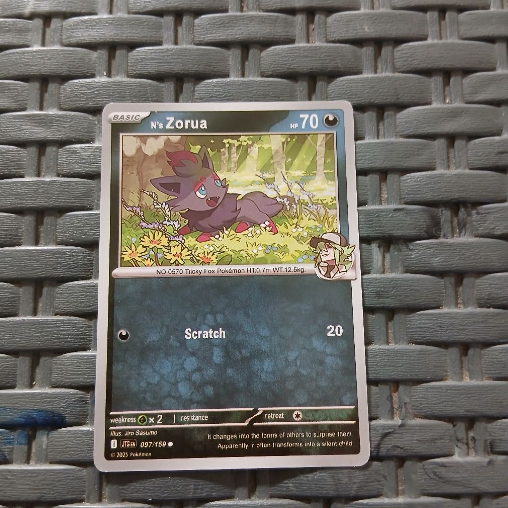 Kartu Pokemon N'S Zorua