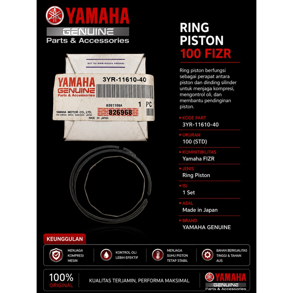 RING PISTON 100 FIZR