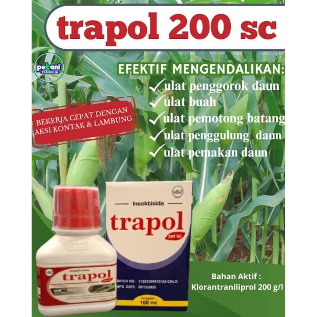 Trapol 200sc 100ml, insektisida ulat grayak pada jagung