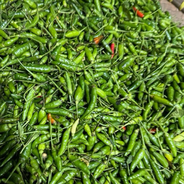 Cabai Rawit 1 kg [Toko Sayur Expres Lampung]