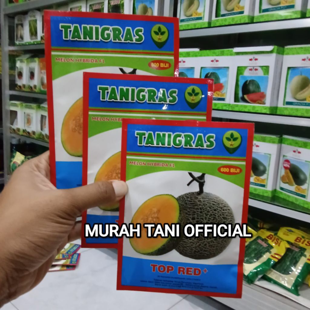 Benih Melon Top Red Plus F1 Tahan Cuaca Ekstrim Isi 500 Butir Kadaluarsa 2029