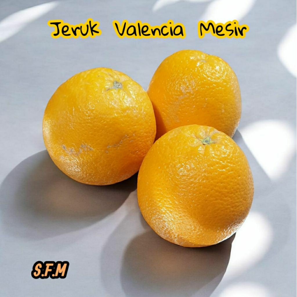 Jeruk Sunkist Valencia Mesir 1 Kg ( Gratis Ongkir )