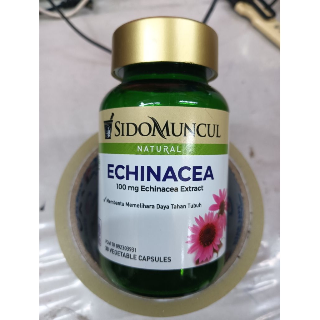 Echinacea sidomuncul