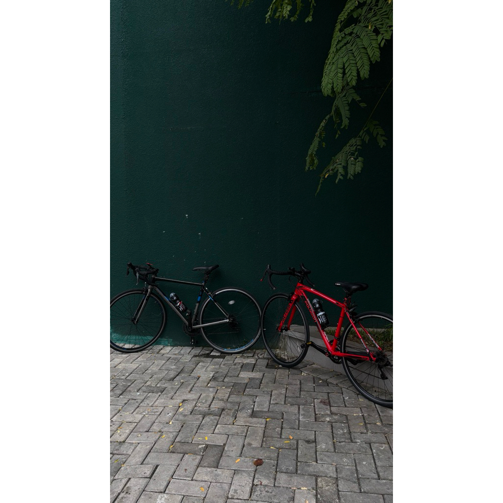 sepeda Polygon Strattos S2