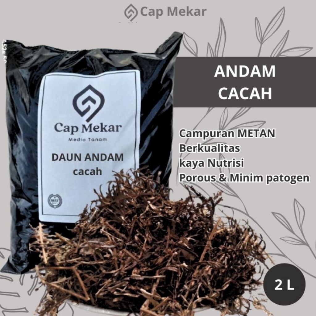 media tanam andam - daun andam - batang andam - andam kemasan 1kg