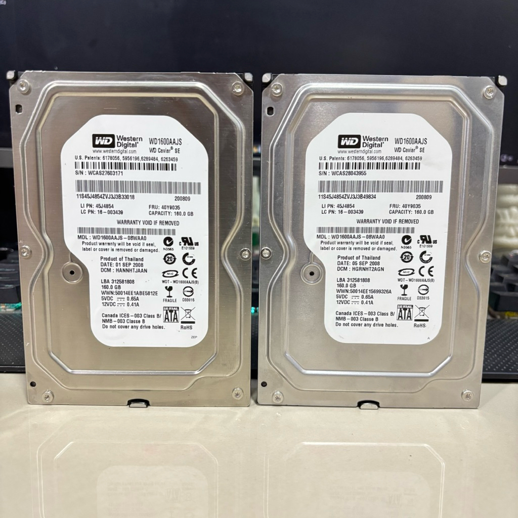HARDDISK PC WD CAVIAR SE 160GB SENTINEL 100%