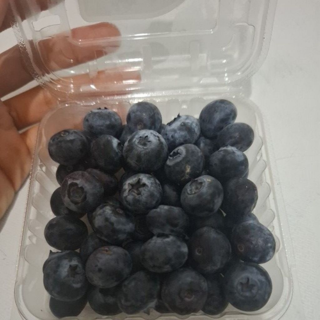 promo blueberry segar