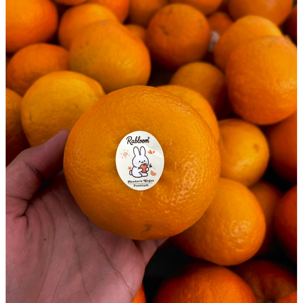 Jeruk wogam Super Mandarin Manis Fresh / Jeruk Wokam Super 1kg