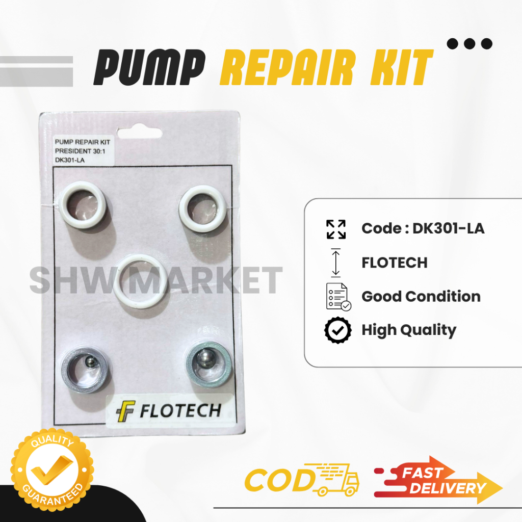 Flotech 30:1 Airless Pump Repair Kit Lower DK301-LA - 200