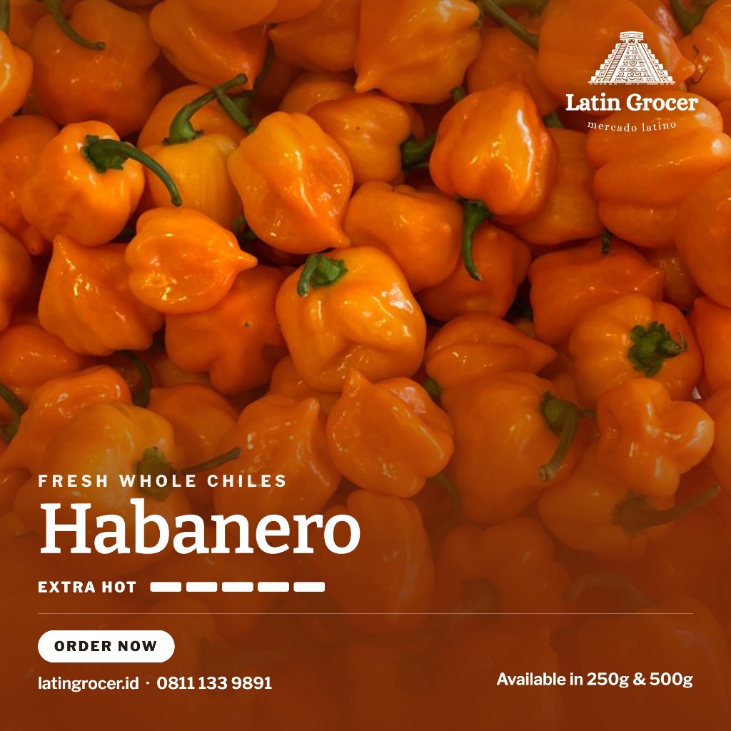 Fresh Habanero Chile (Orange) Mexico / Cabai Habanero Segar Meksiko