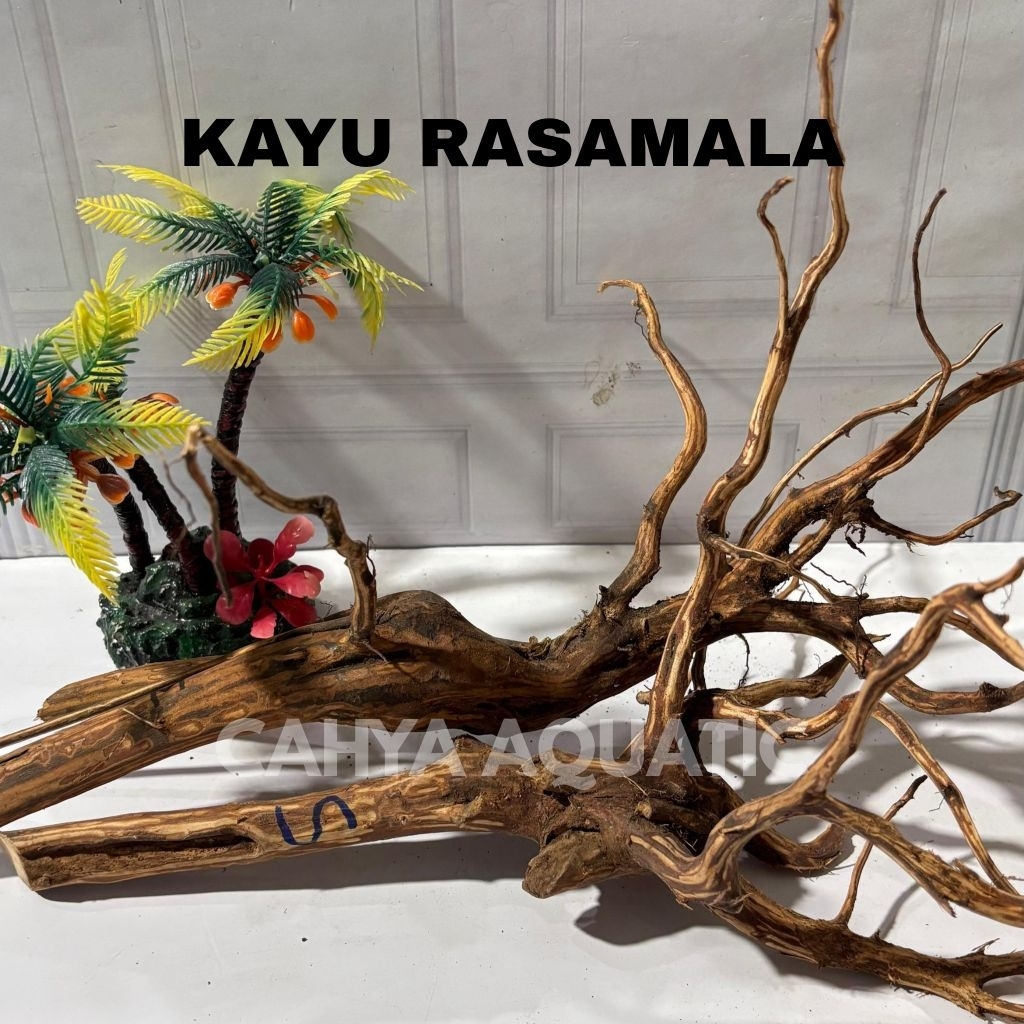 Kayu Rasamala