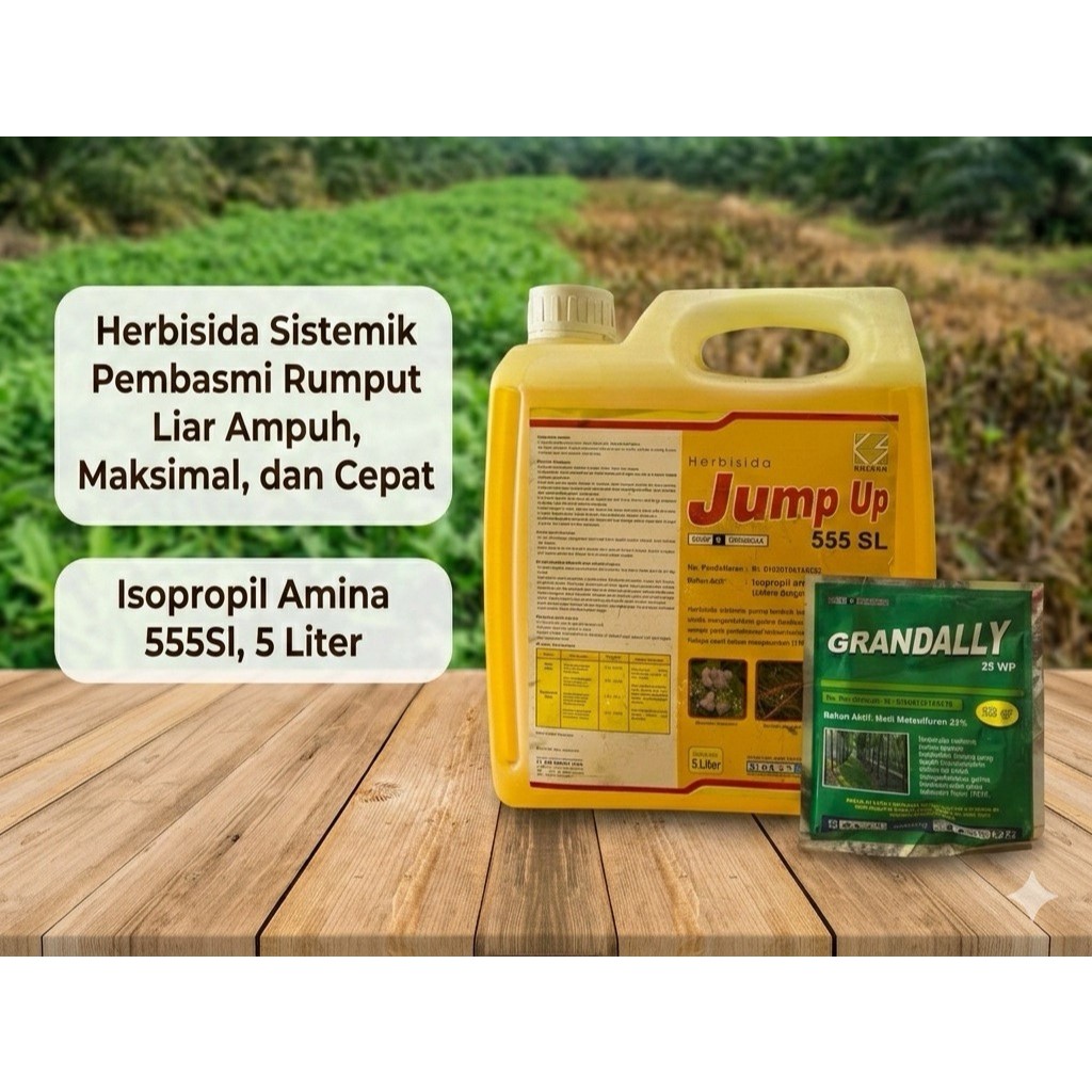 Herbisida Sistemik JUMP UP 555 SL 5 Liter/Pestisida