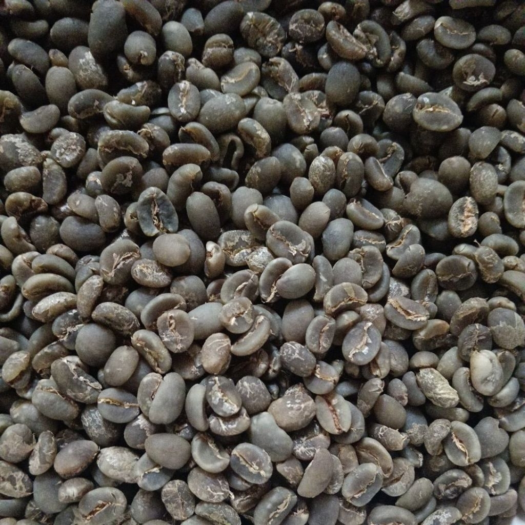 Green Bean Arabika Ijen Semi Wash Grade 1