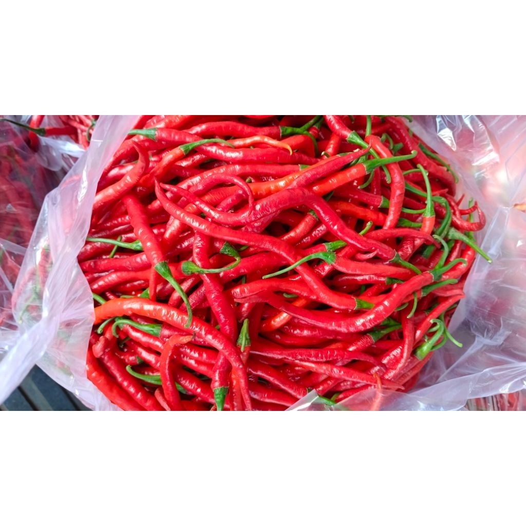 cabai merah keriting 1000g
