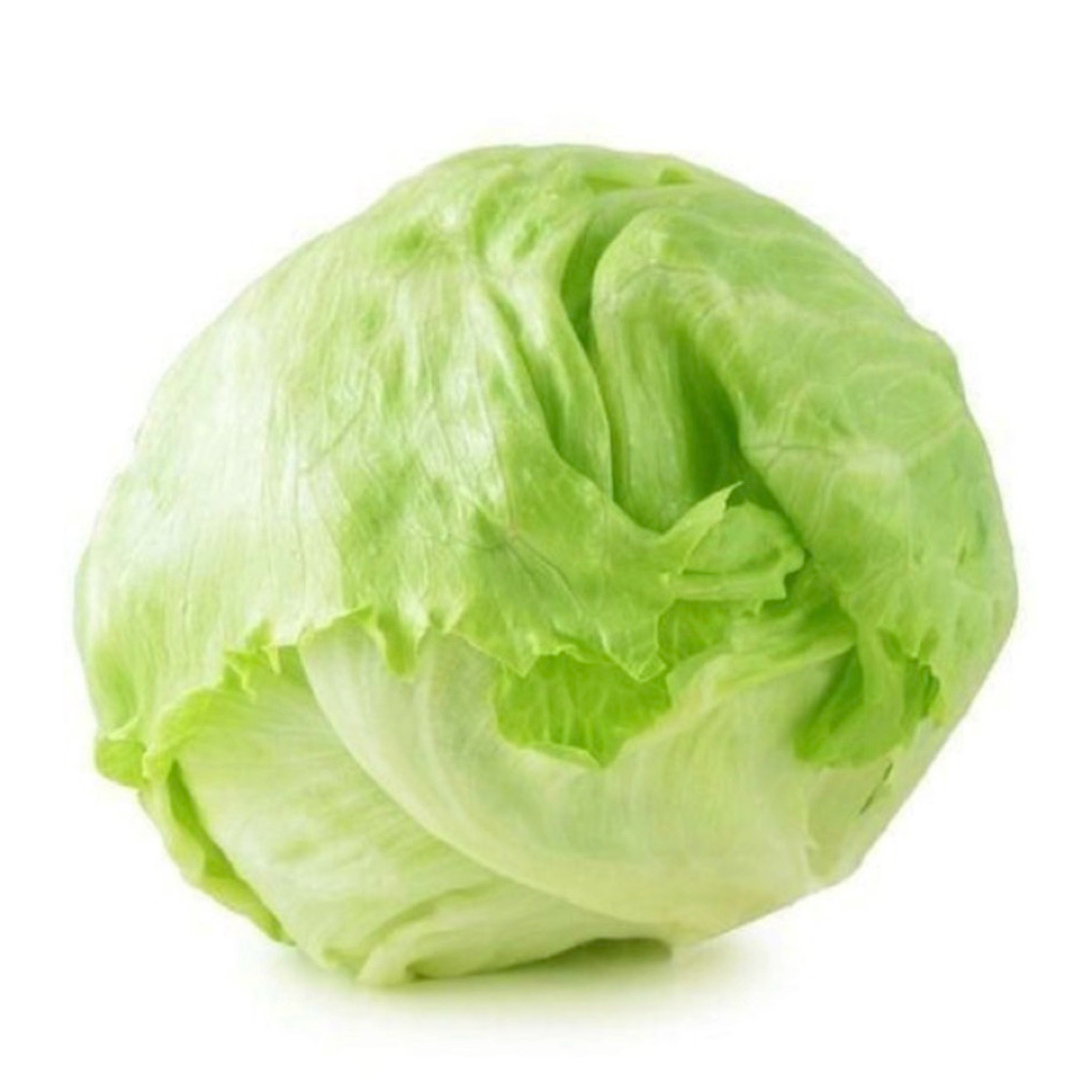 iceberg lettuce