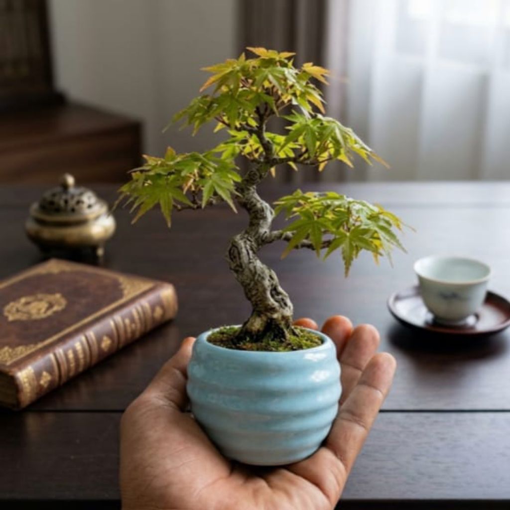 pot keramik bonsai mame model sarang tawon