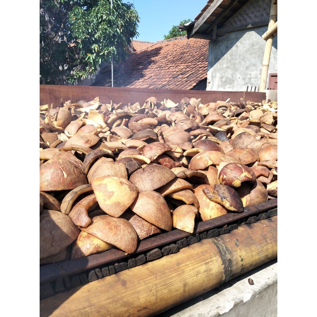 Kopra / KELAPA KERING BAHAN MINYAK HERBAL 1KG