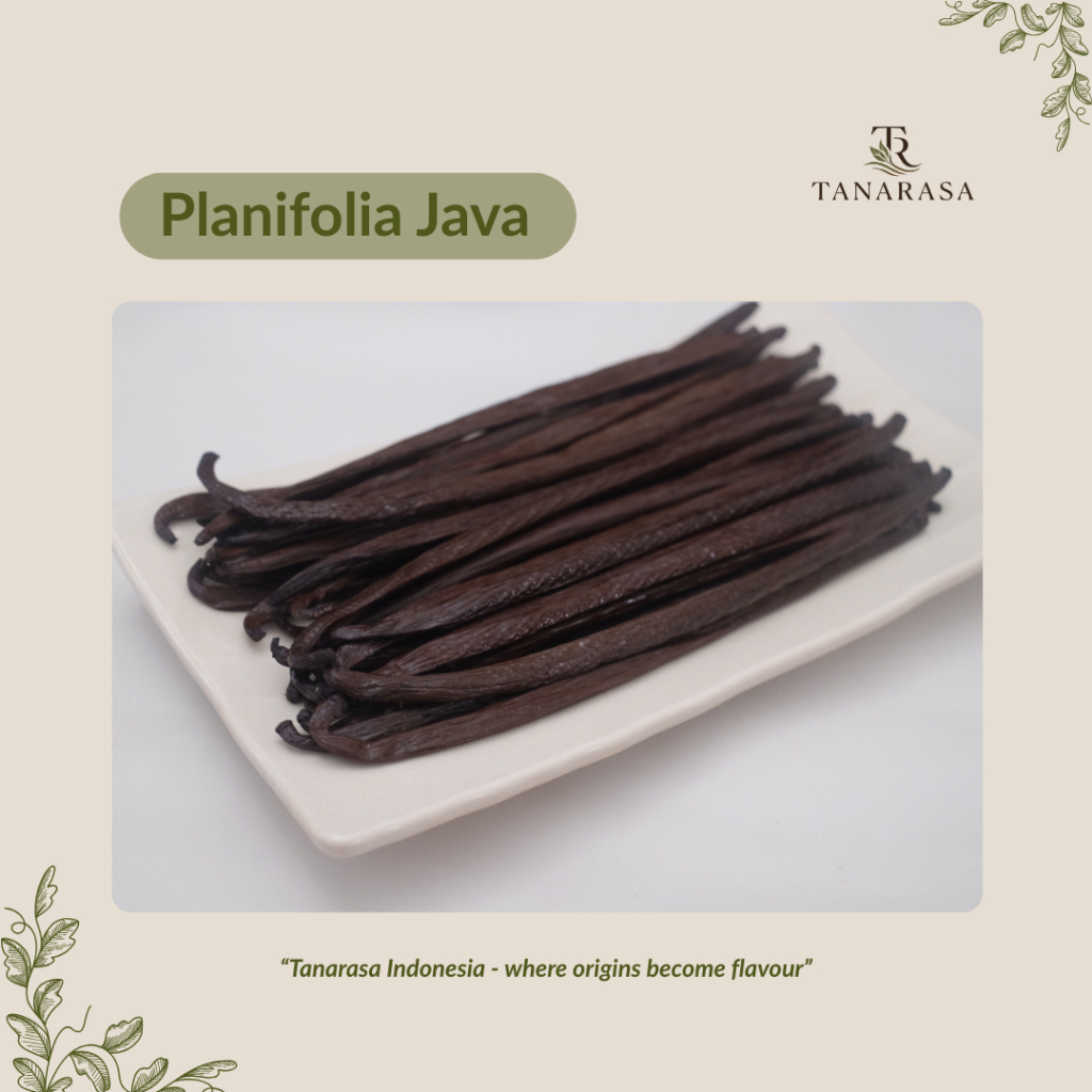 Vanilla Planifolia Java Grade A