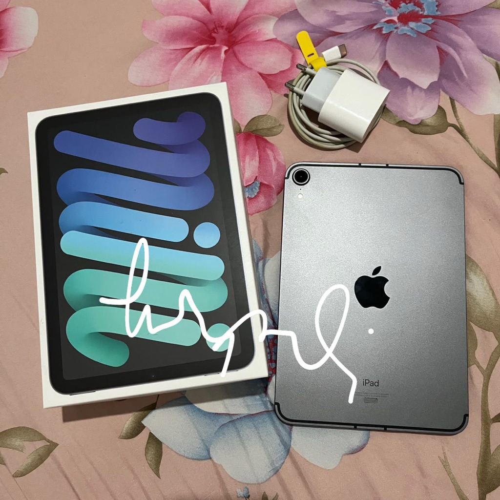 iPad Mini 6 Wifi Cell (Preloved)