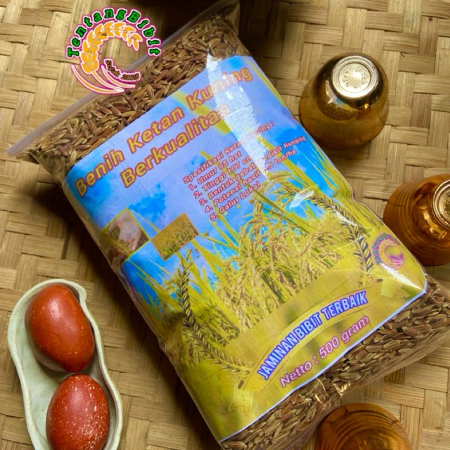 Benih ketan kuning / bibit padi ketan kuning ketan langka 500 gram
