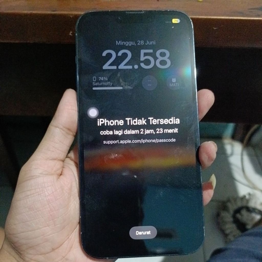 iphone 13 promax lupa passcode