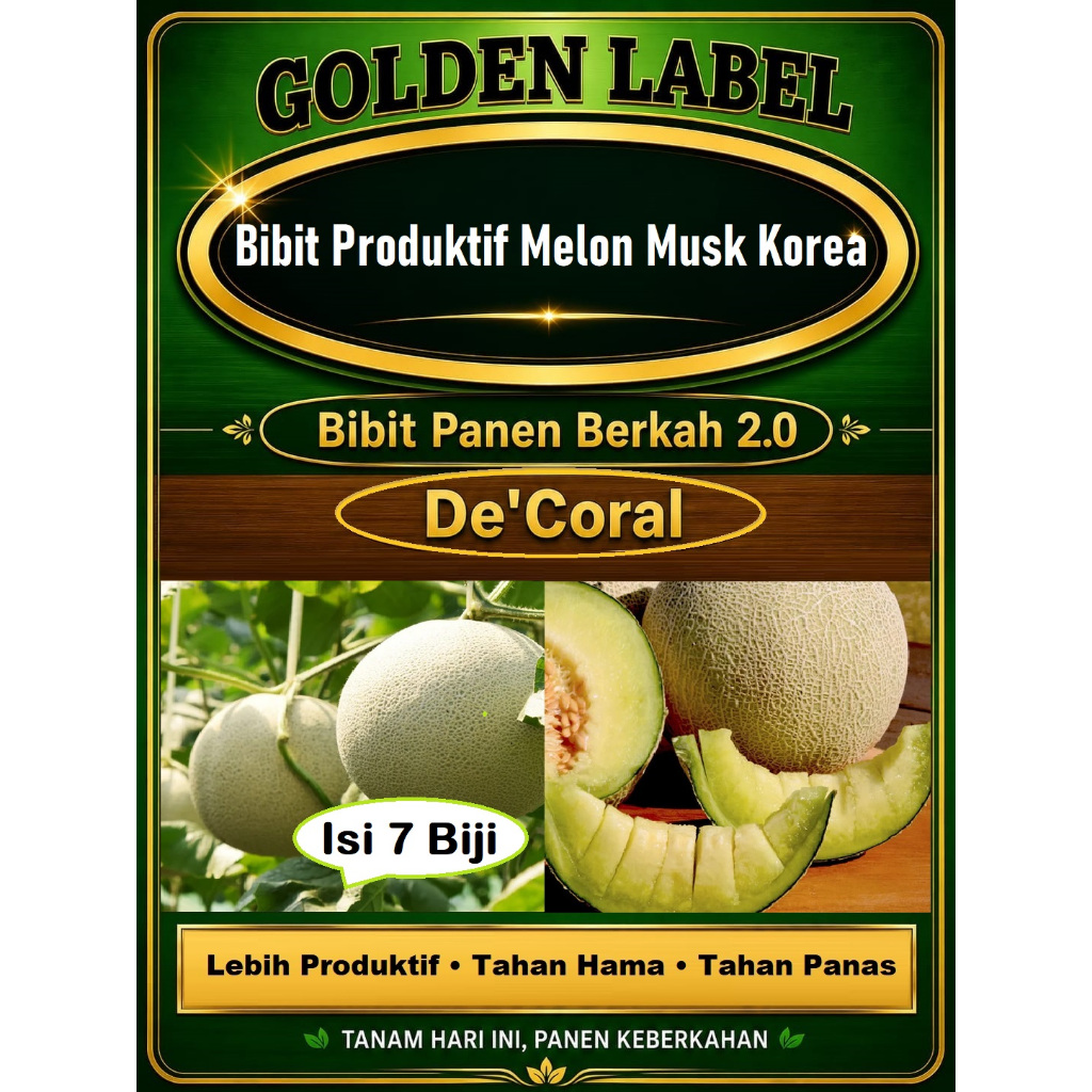 Bibit Panen Berkah 2.0 | Bibit Produktif Melon Musk Korea Lebih Tangguh & Lebih Produktif | Biji Ben
