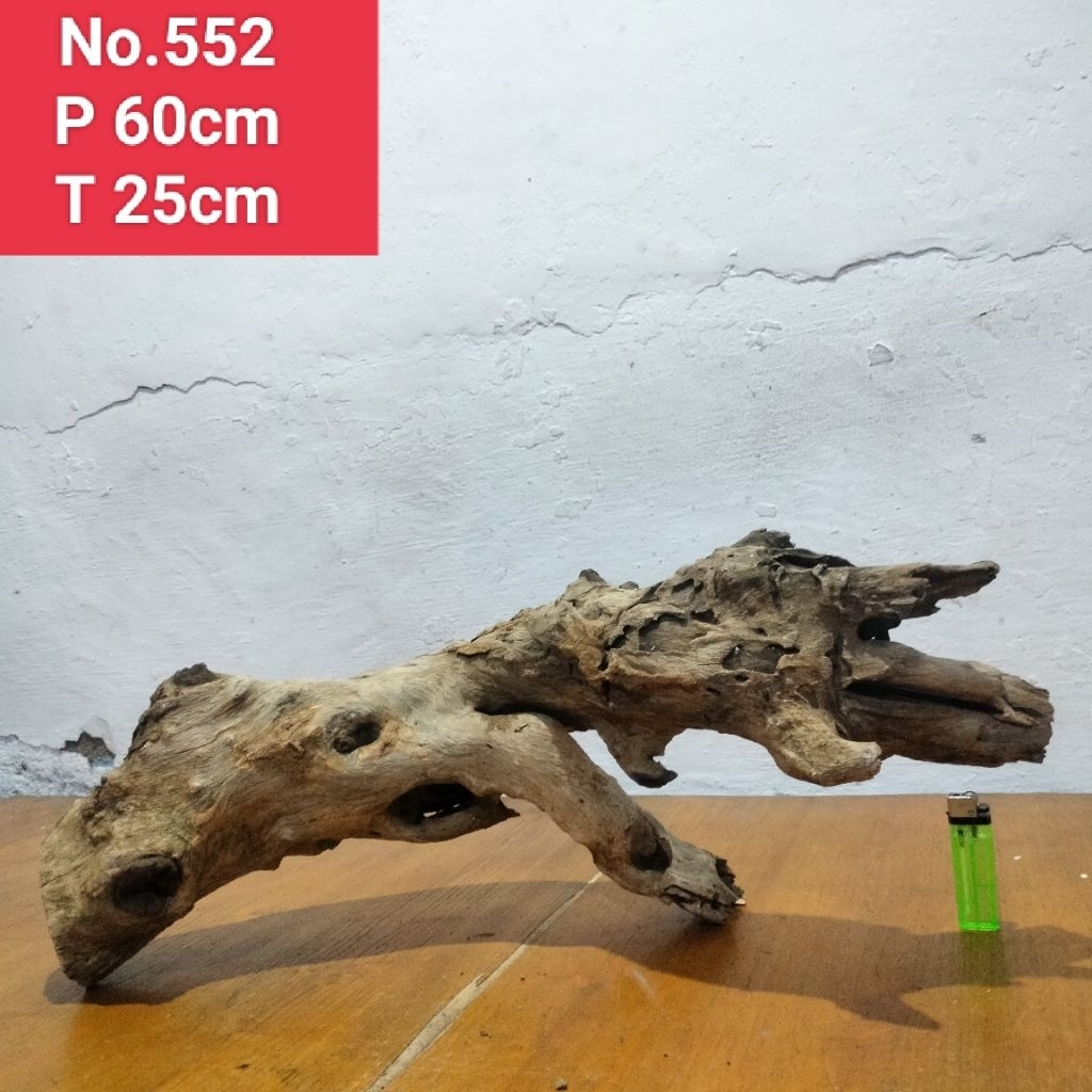 bonggol akar santigi laut kayu santigi dekorasi aquascape aquarium 552