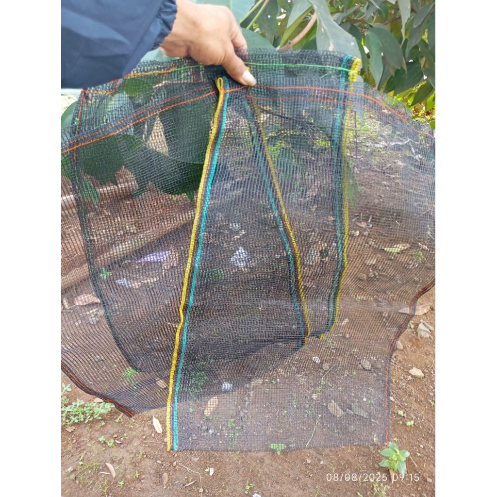 fruit cover pembungkus buah brongsong anggur klengkeng dll