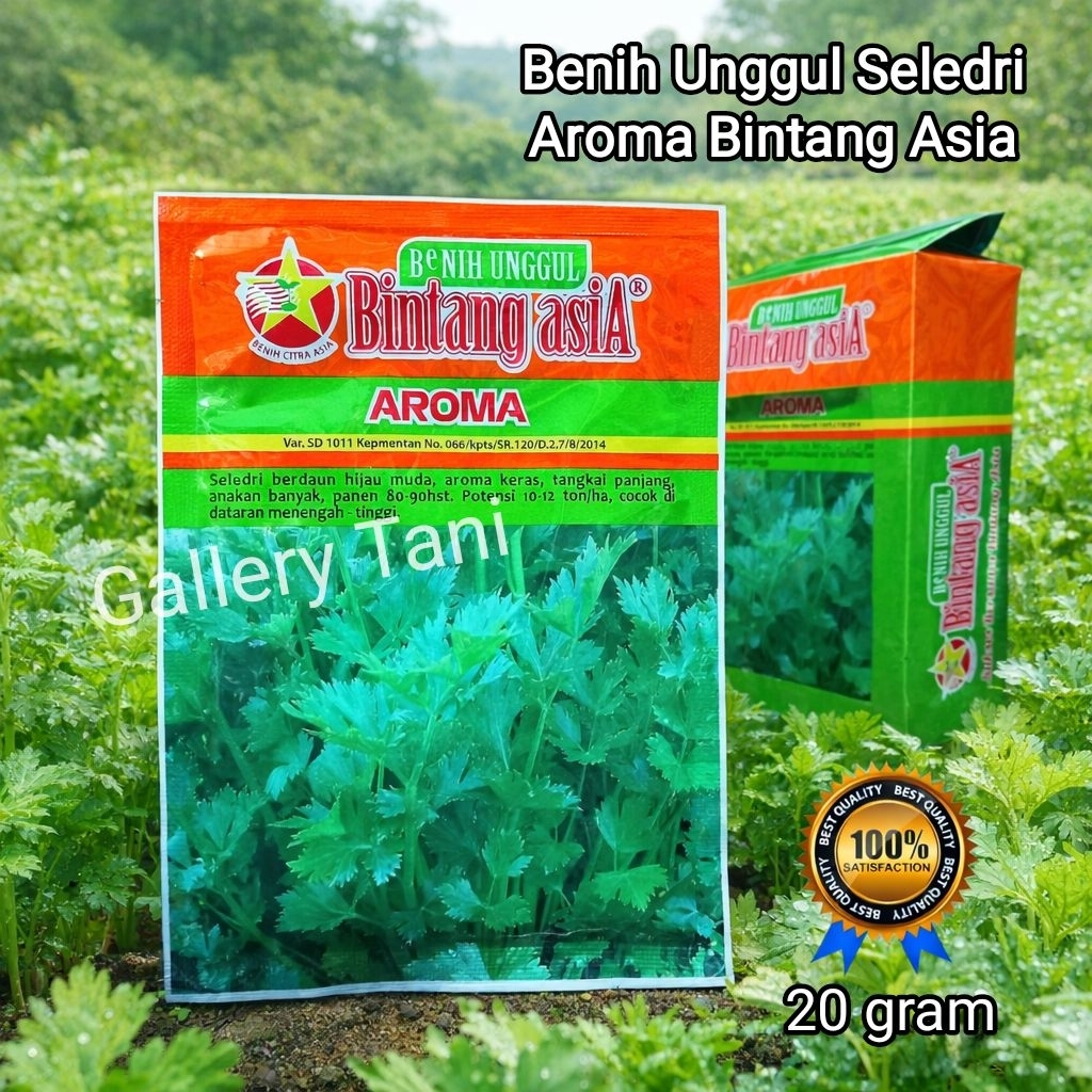 Benih Seledri Aroma - Daun Hijau, Aroma Keras, Anakan Banyak
