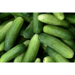Timun 1 kg