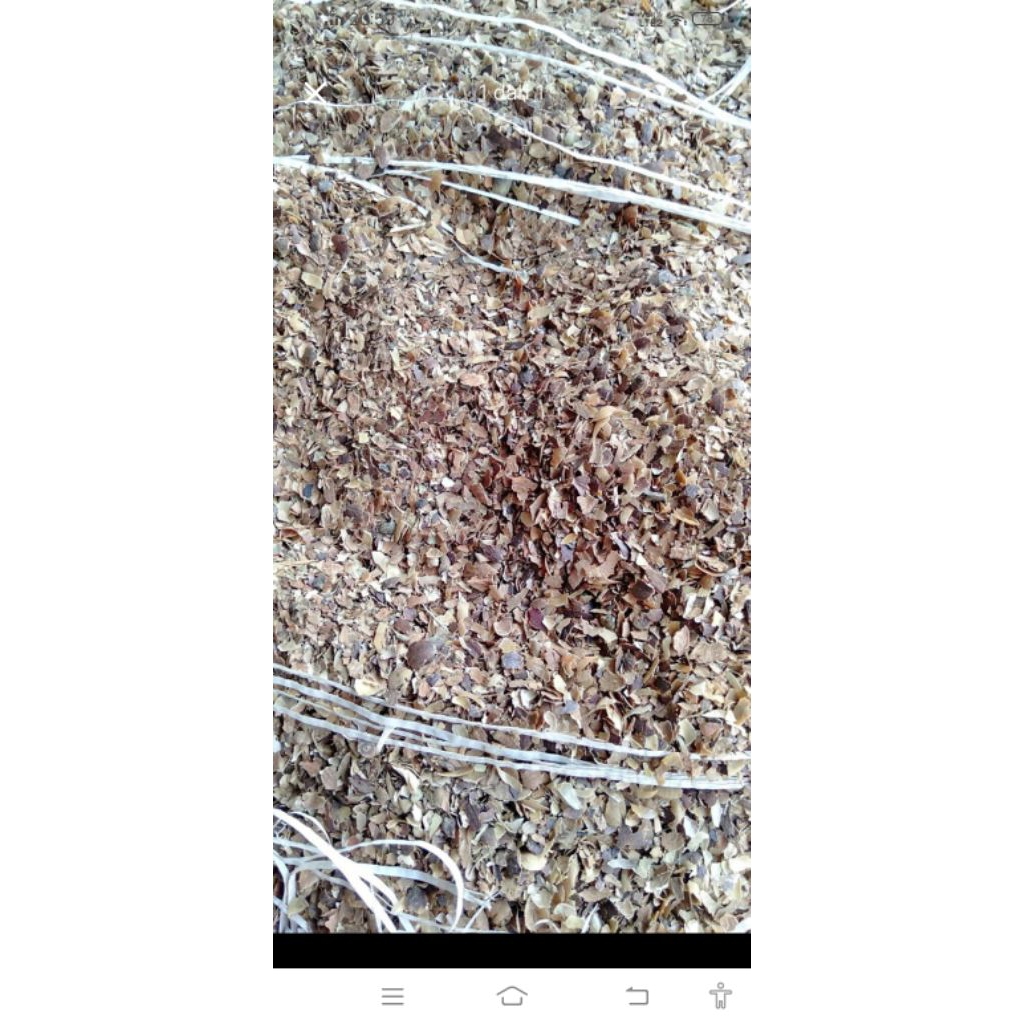 kulit kopi kering 1 kg - Pakan Ternak
