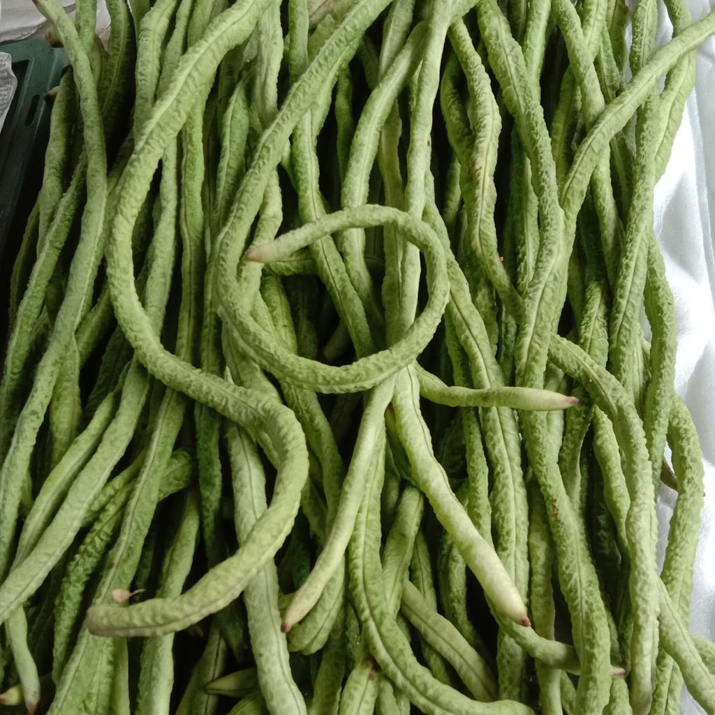 KACANG PANJANG KHAS KALIMANTAN 500gram 1/2KG KACANG PANJANG KALIMANTAN KACANG PANJANG KERITING CIU T