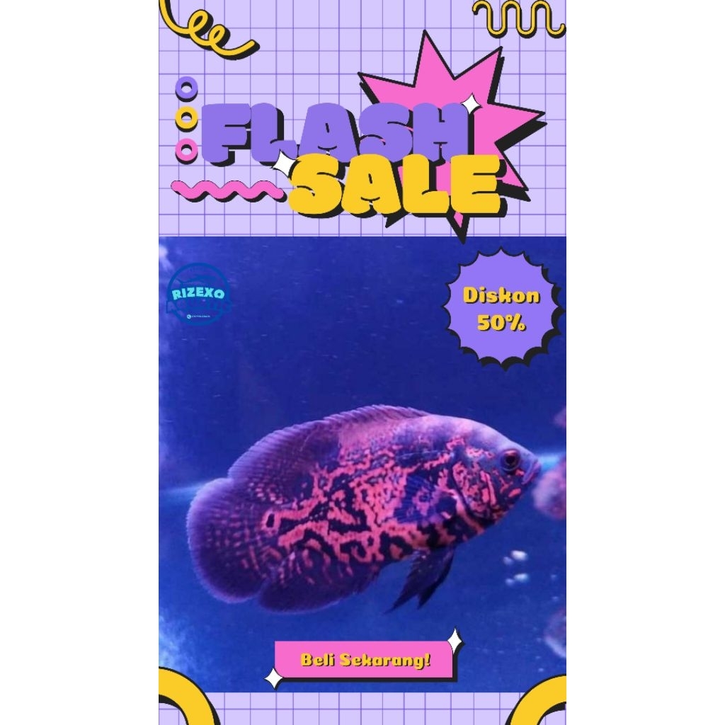 Oscar Tiger Batik Baby 3-4 CM (Beli 3 Gratis 1) #PromoSpecial