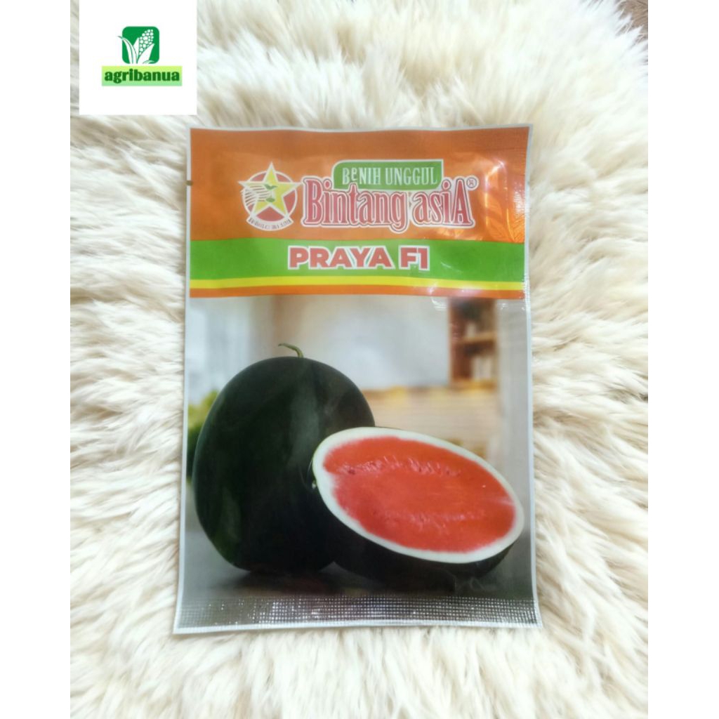 benih semangka merah PRAYA F1 20 gr Bintang asiA