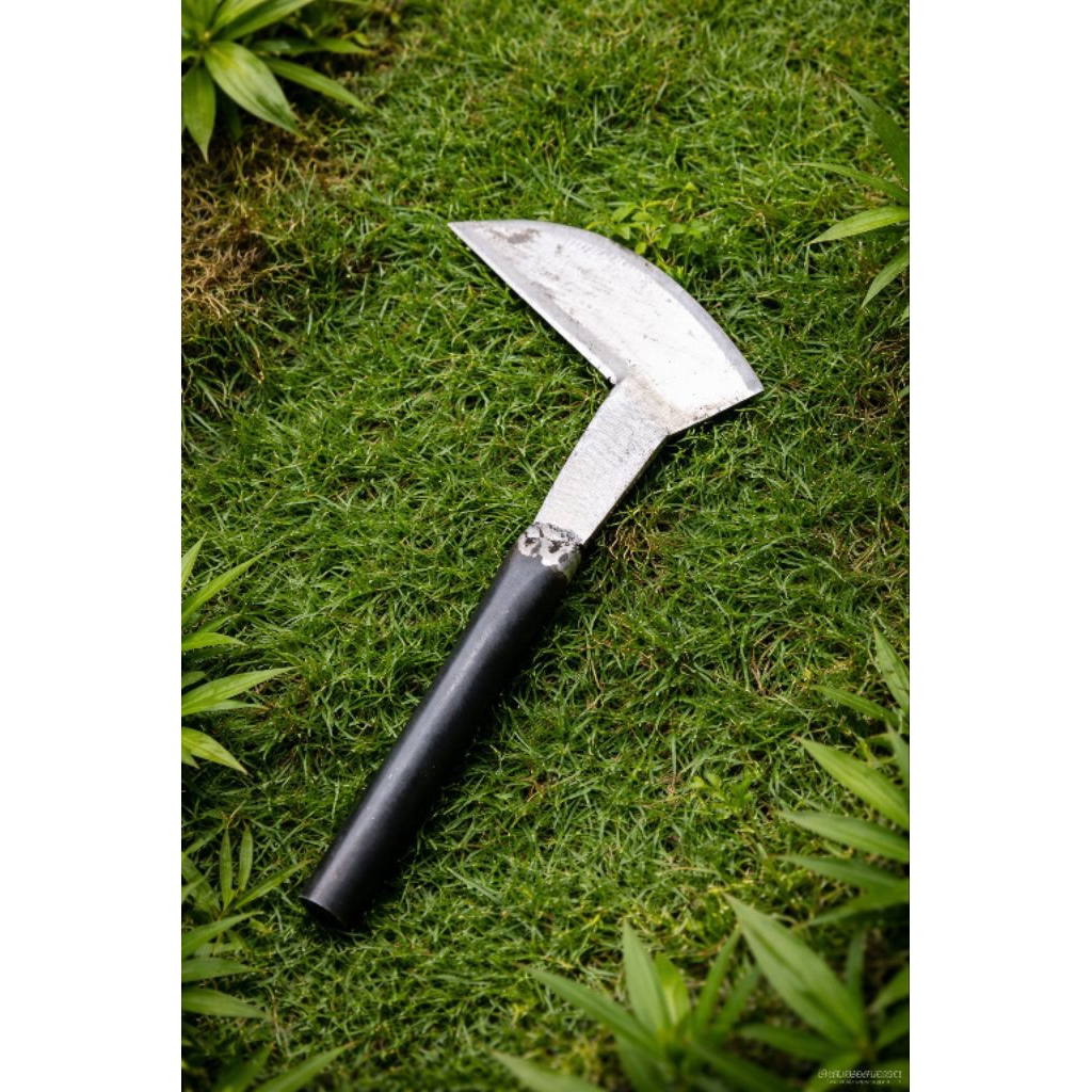 Sabit/Arit Susruk bahan gergaji dengan 2 Mata yang Tajam