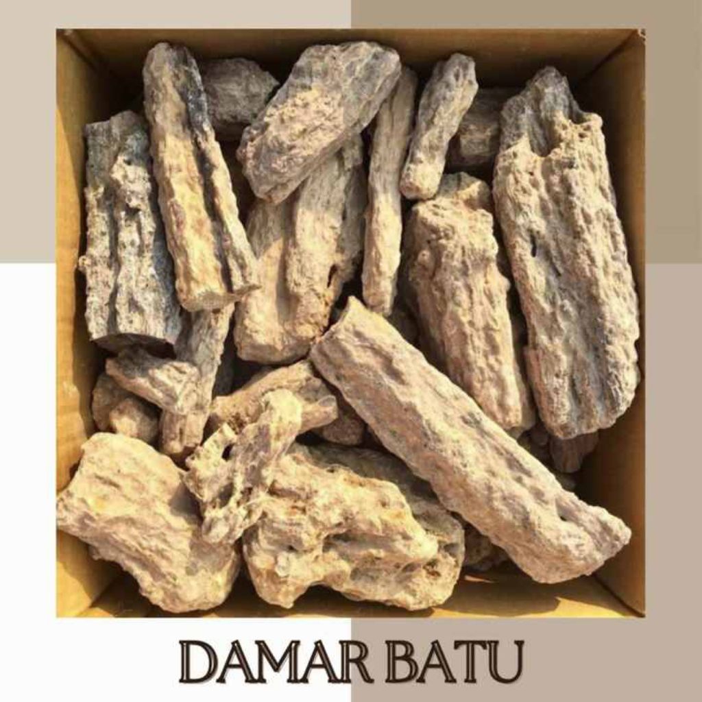 1 Kg Getah Damar Bahan Dempul Pilihan
