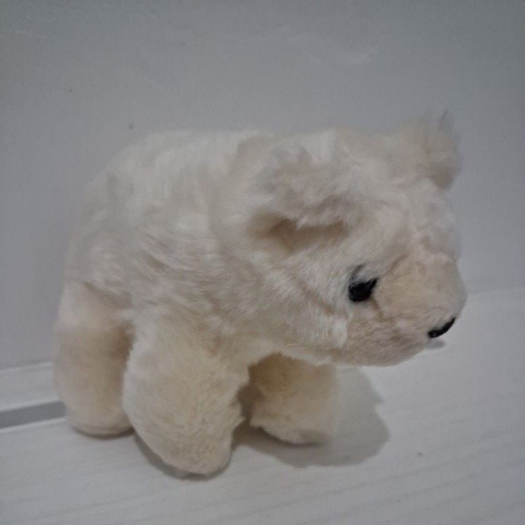 boneka polar bear beruang kutub