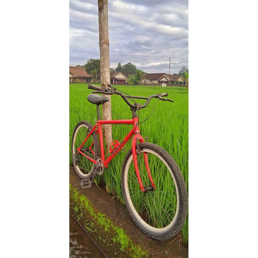 SEPEDA COMMUTER BIKE