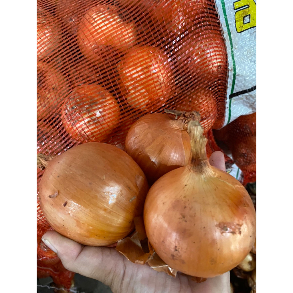Bawang Bombay 1 Kg
