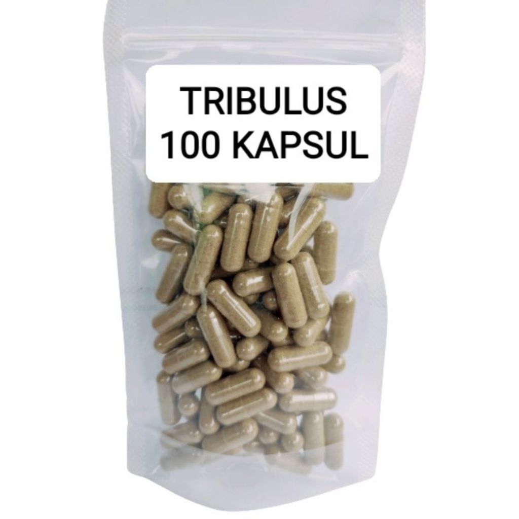 kapsul tribulus asli isi 100 kapsul