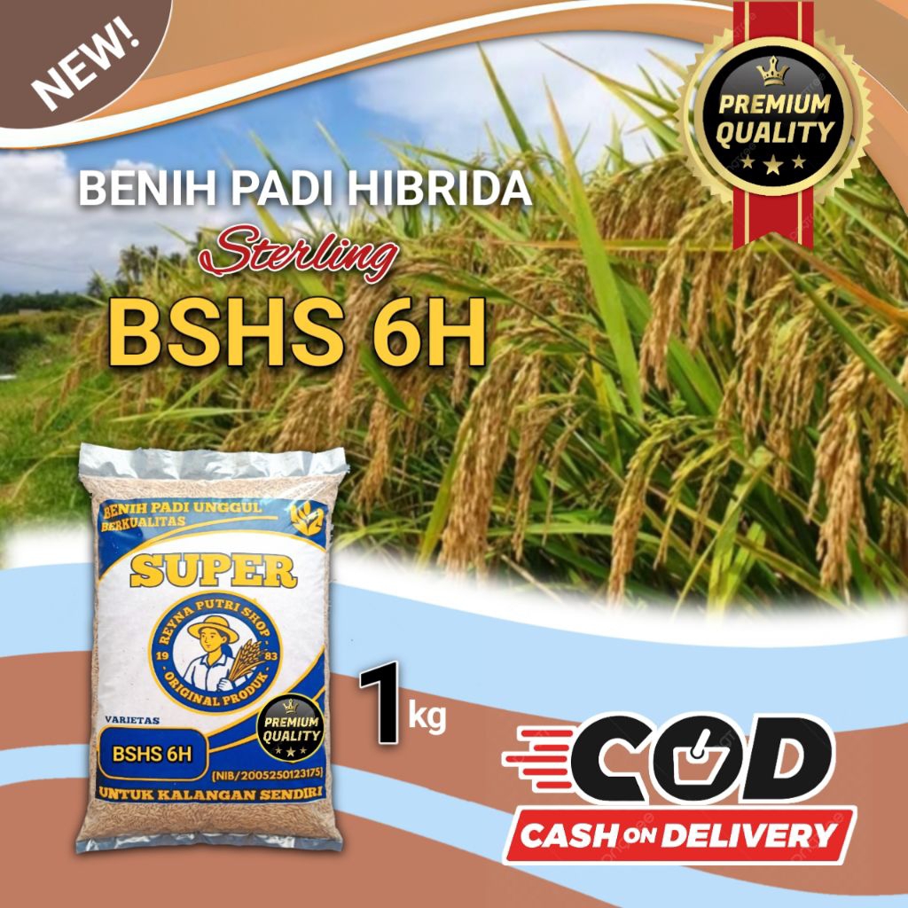 benih padi hibrida terling bshs 6h 1kg