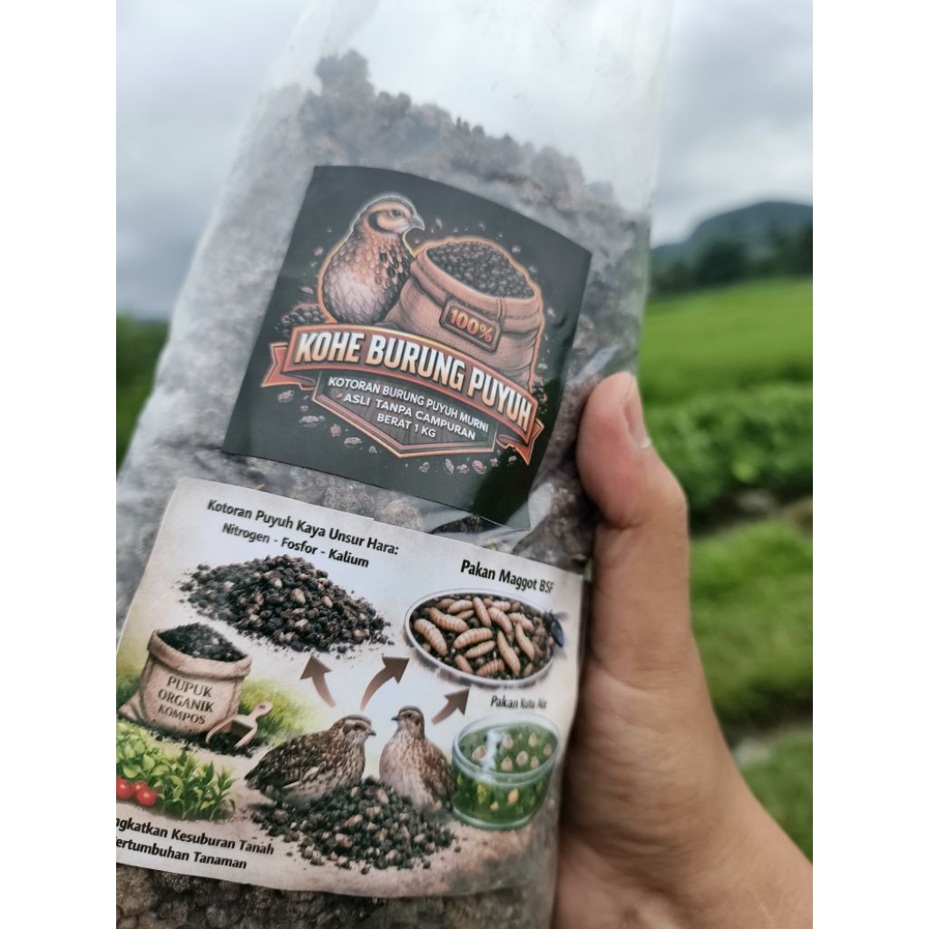kohe kotoran burung puyuh kering original tanpa campuran sekam berat 1 kg