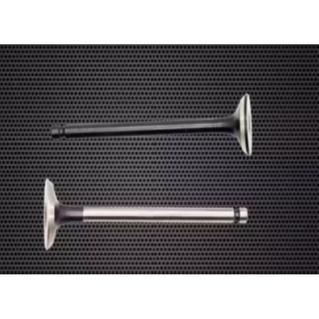 PAYUNG KLEP SET MIO SOUL GT 125