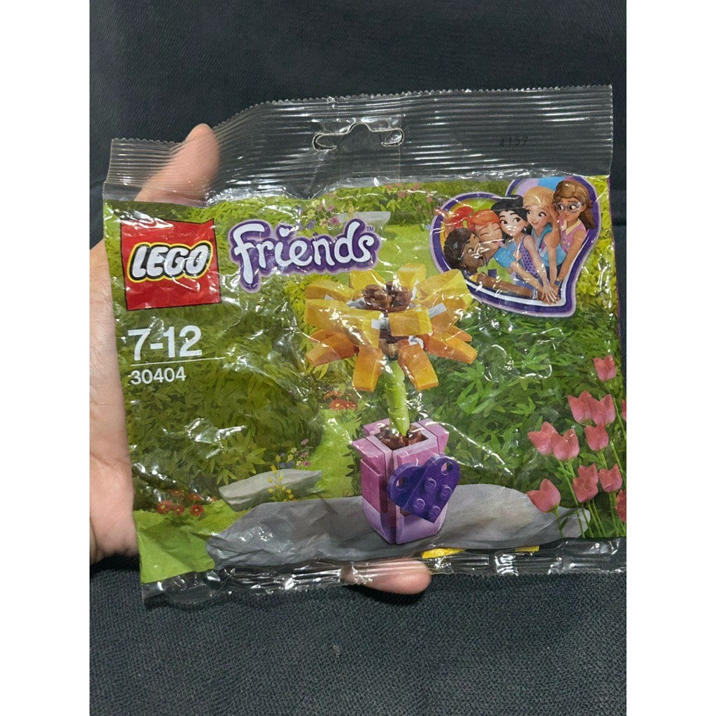 Lego Friends Friendship 30404 | Flower | Polybag