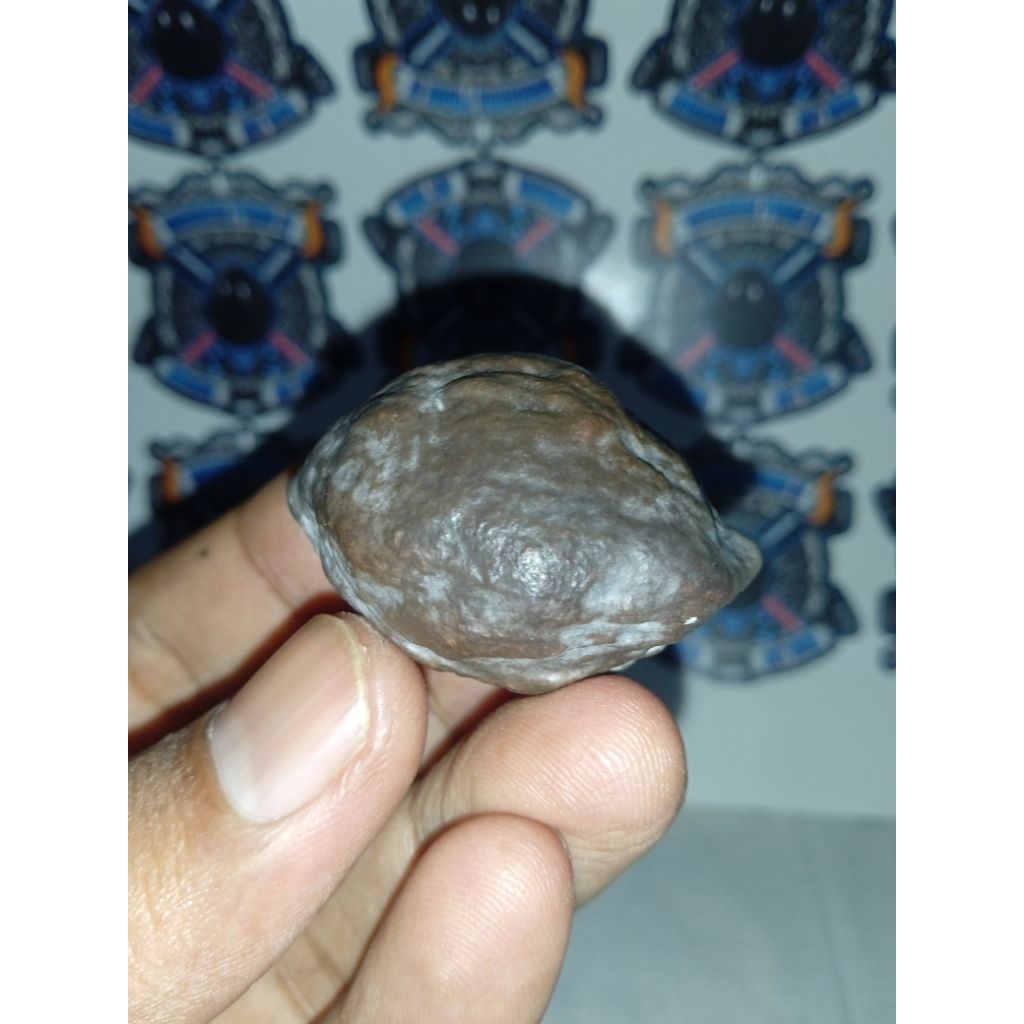 Muncang Adu AMD ank Mayit Dedi Super Original Stok Sedikit