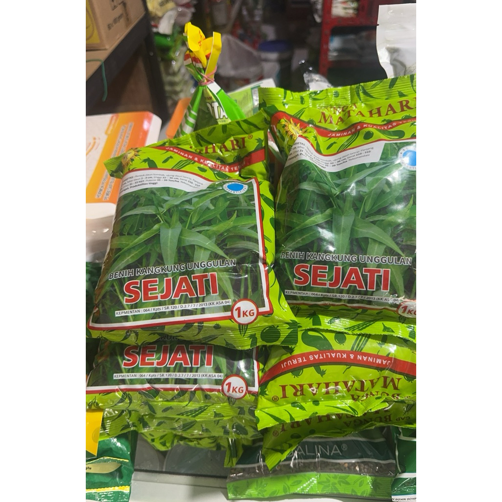 1kg Benih Kangkung SEJATI Daun Lebar, Tidak Mudah Merambat