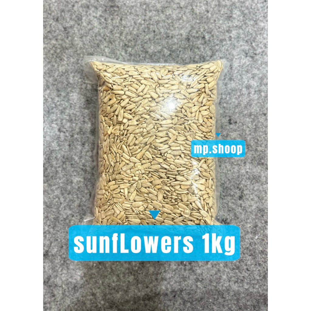 KUACI KUPAS PANGGANG SUNFLOWER BIJI BUNGA MATAHARI