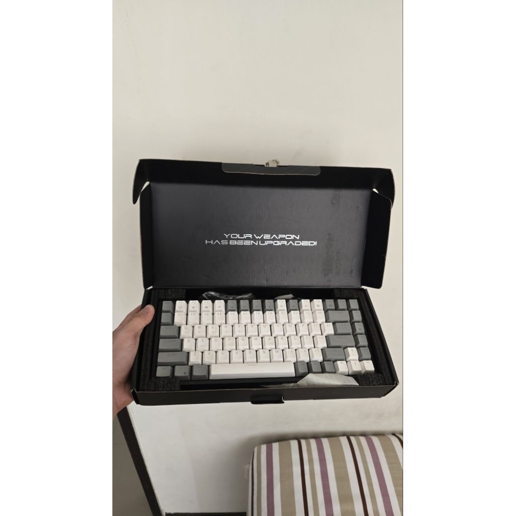 Mechanical Keyboard Rexus Daxa M84 Ultimate brown switch second