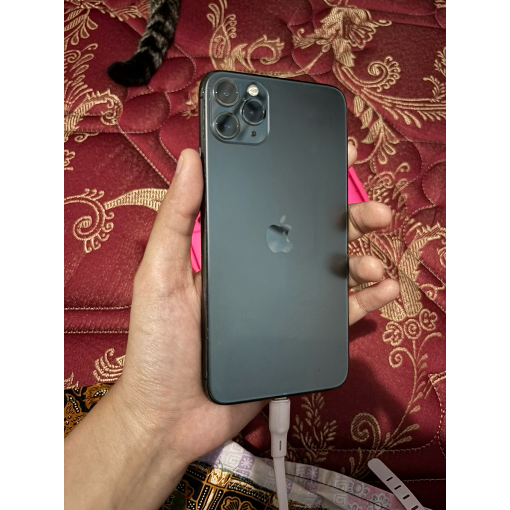 Iphone 11 ProMax 256GB inter