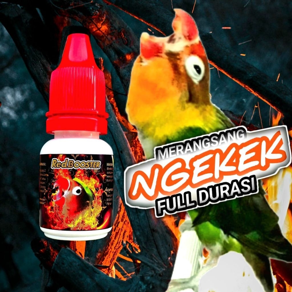 NEW_OIL RED_BOOSTER RAJA GOYANG/VITAMIN PENGGACOR LOVBIRD/VITAMIN KONSLET/VITAMIN LB /vitamin lovebr